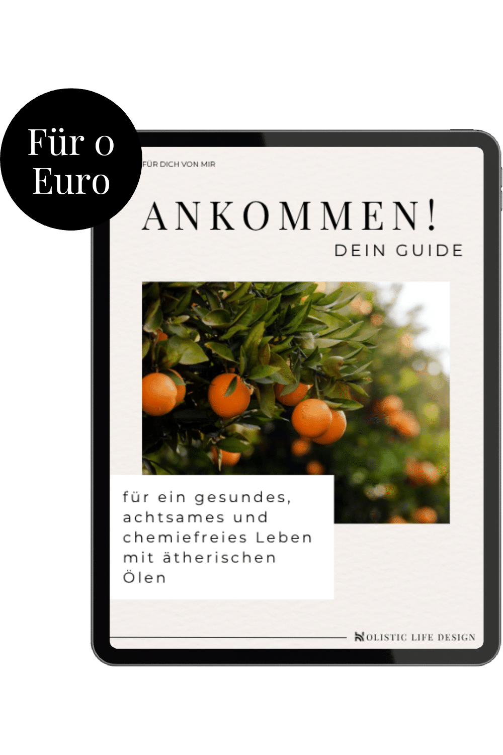 Ankommen PDF Guide für 0 Euro von Holistic Life Design