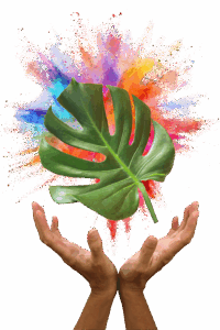 Hand aus der bunte Farben und Pföanzen kommen symbolisiert energiearbeit, Coaching und ätherische Öle
