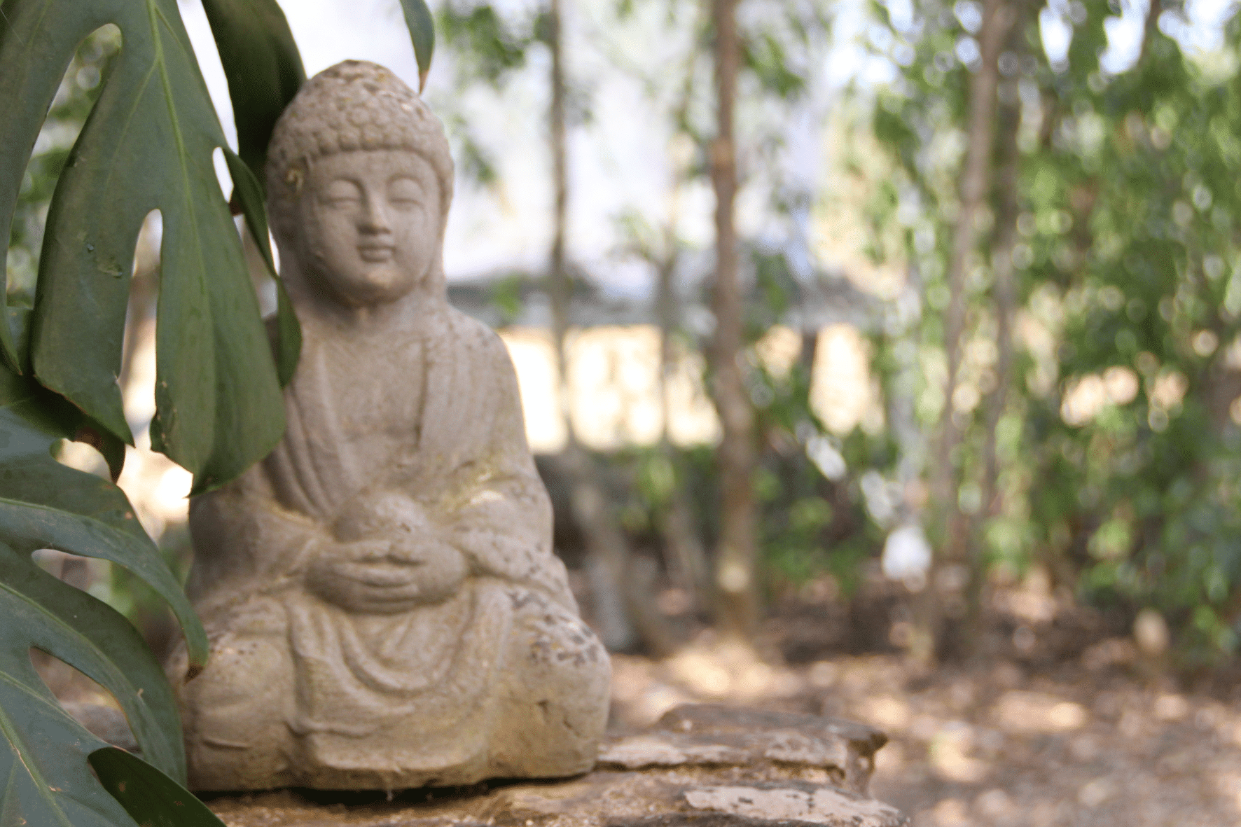 buddha der energiearbeit repräsentiert