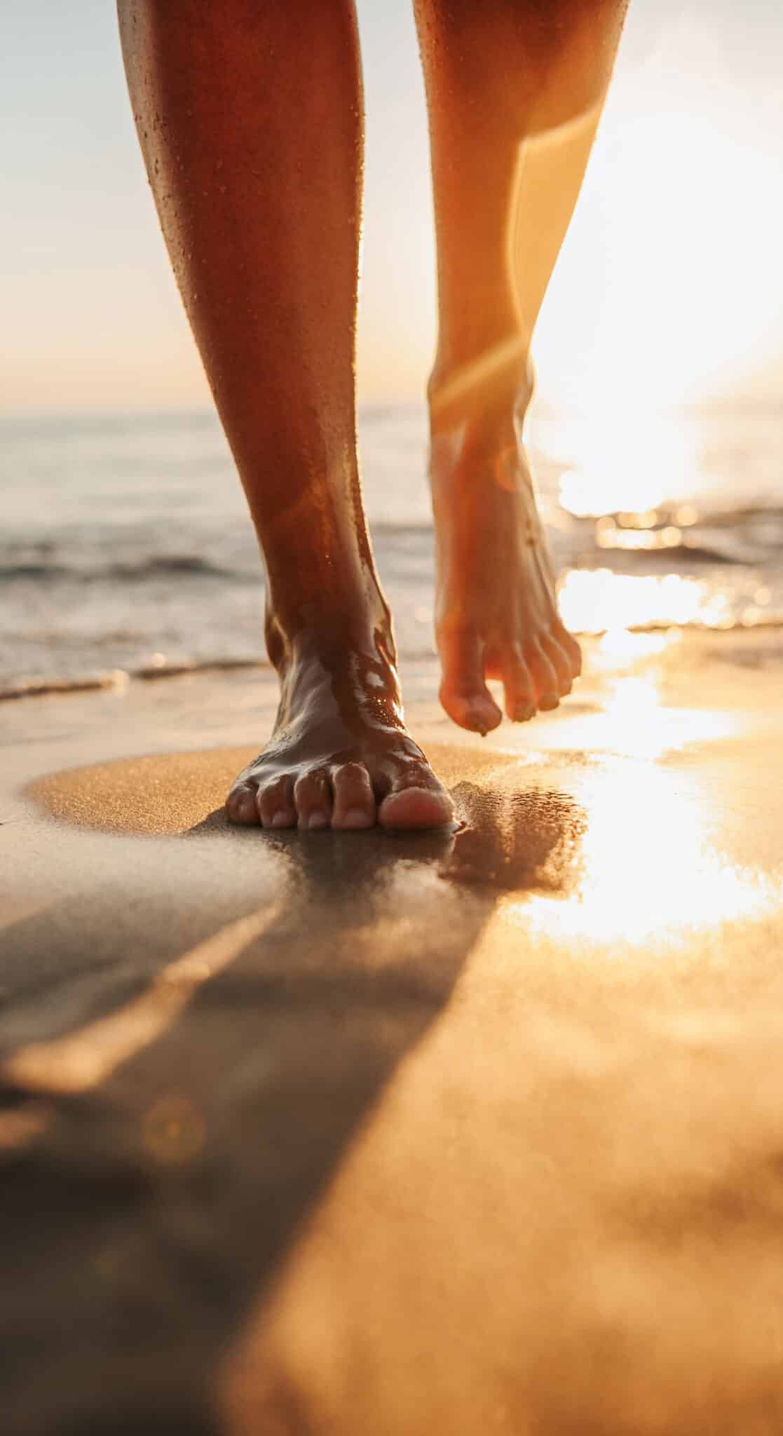 Der Weg danach: Dein regeneratives Leben starten