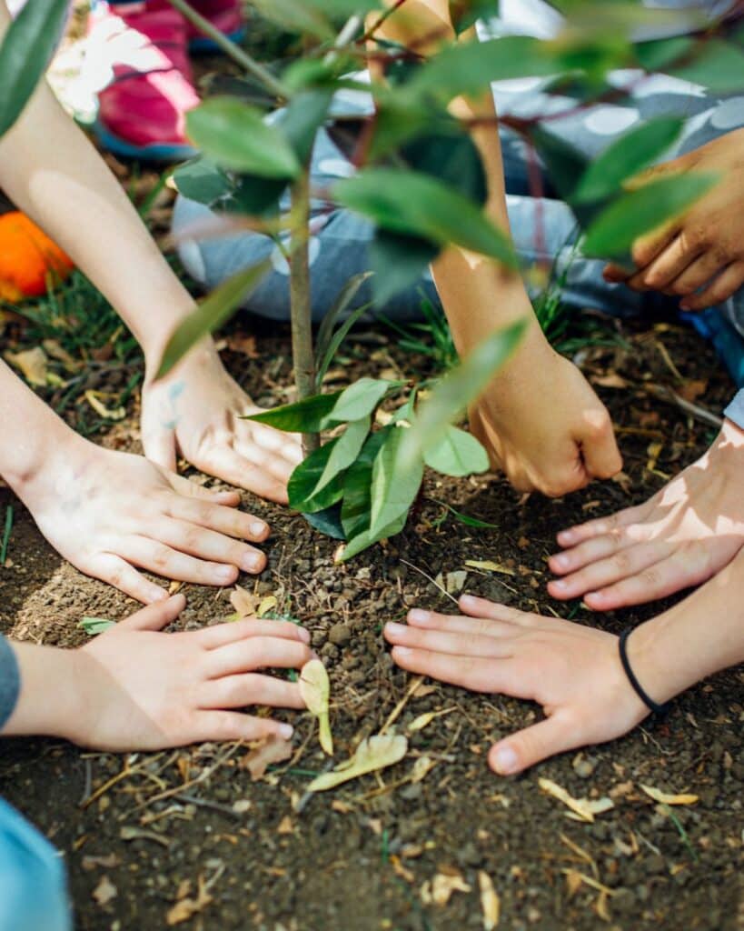 Kinderhände pflanzen gemeinsam einen Baum im Familien Retreat Zentrum Portugal, Naturpädagogik und regenerative Lebensweise erleben